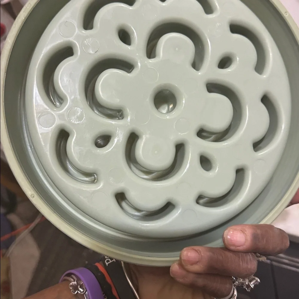 Slow feeder dog bowl